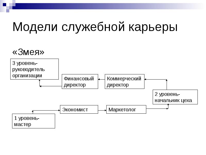 Карьера виды карьер. Модели карьеры. Модель развития карьеры змея. Модель деловой карьеры змея. Модели карьерного роста.