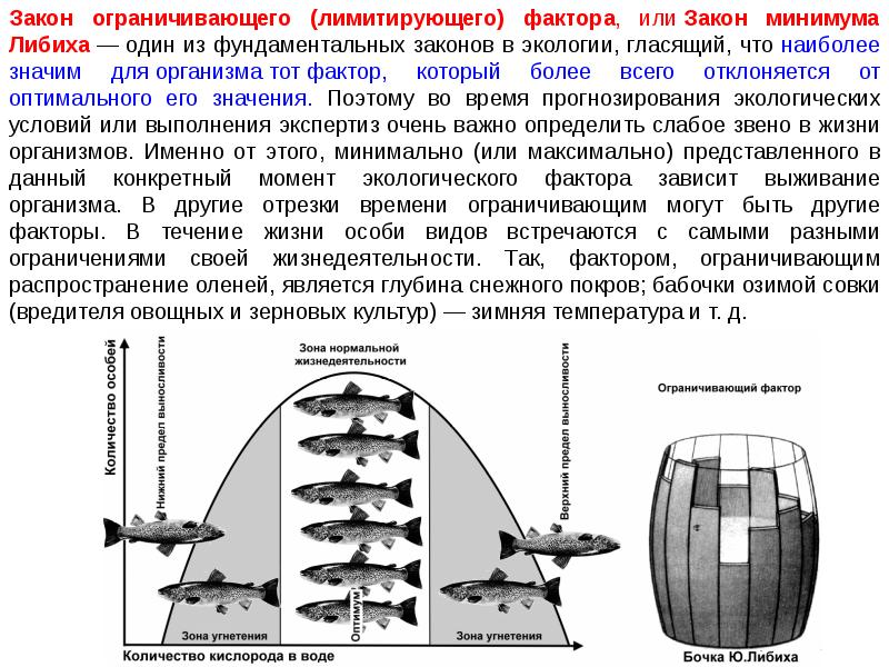 Закон минимума презентация