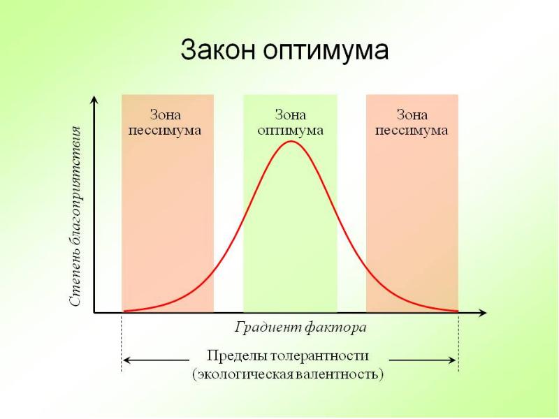 Схема действия фактора среды на организмы