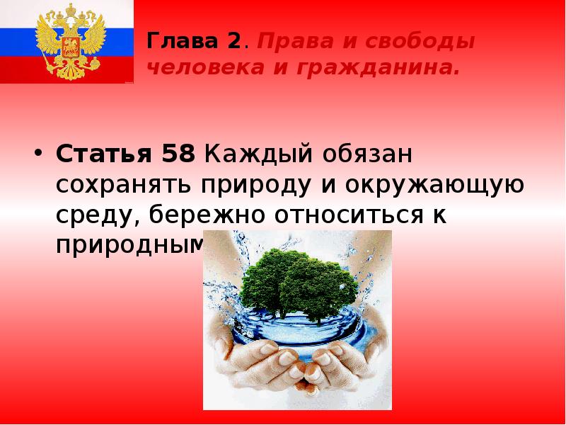 Глава 2. Права и свободы человека и гражданина.  Статья 58