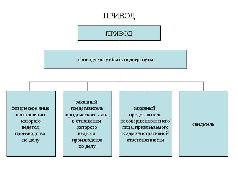 Привод это. Ст 113 УПК РФ. Приводу могут быть подвергнуты. Привод это в праве. Привод может быть применен в отношении.