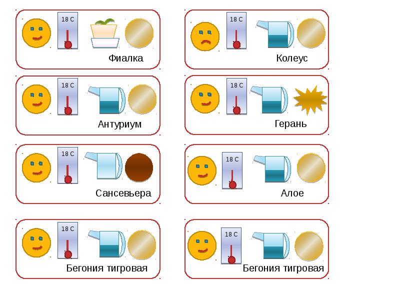 Схема полива цветов в детском саду в картинках