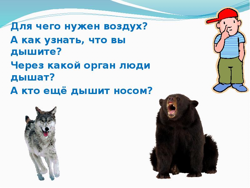 Нам победа как воздух нужна. Кому нужен воздух. Определи каким объектам нужен воздух. Каким объектам нужен воздух. Нужен как воздух смысл выражения.