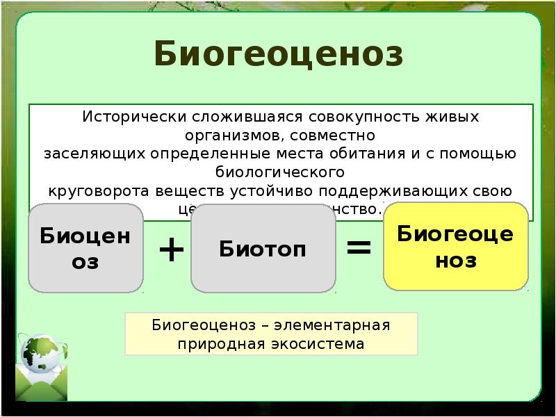 Понятие о природном сообществе биогеоценозе и экосистеме 6 класс презентация