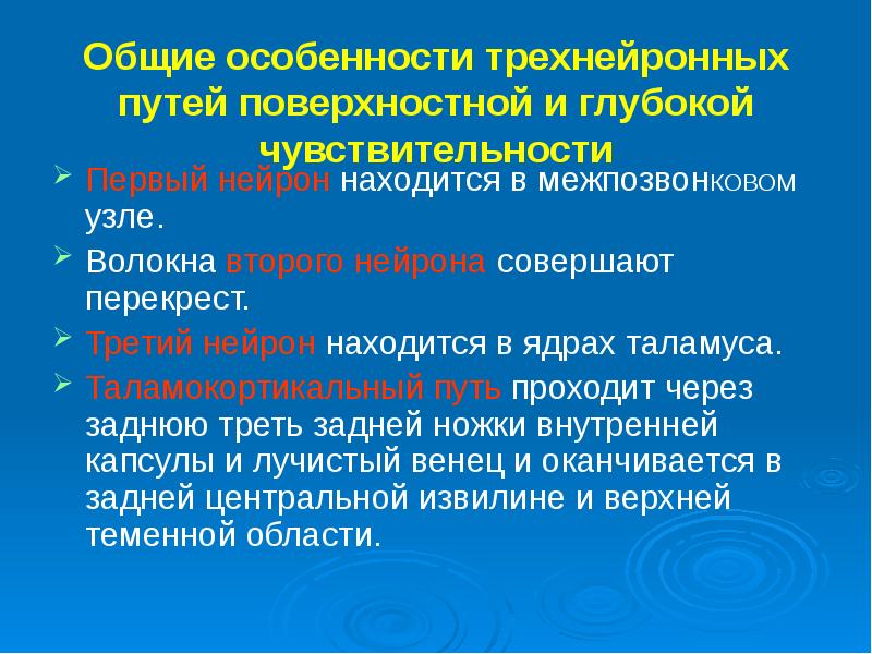 Поверхностные пути. Проводники поверхностной чувствительности. Путь глубокой чувствительности неврология. Путь поверхностной чувствительности Перекрест. Пути проведения поверхностной и глубокой чувствительности.