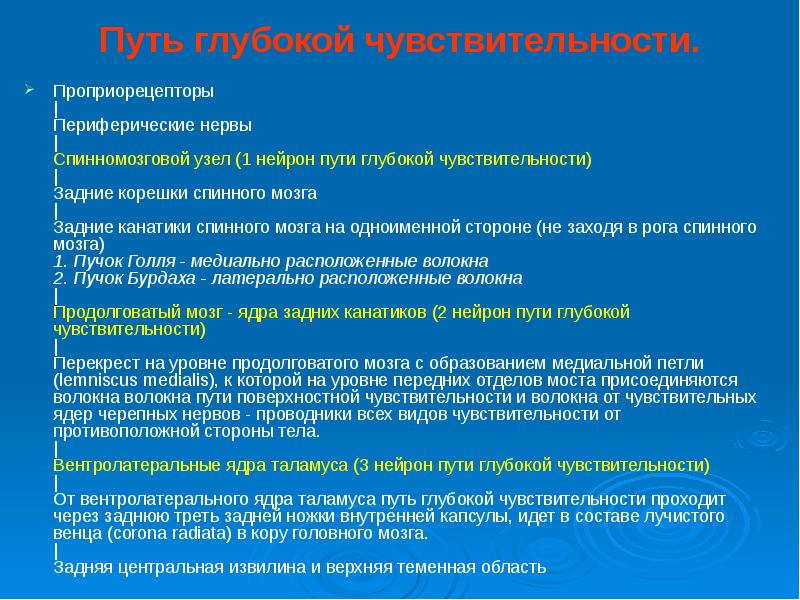 Путь проведения. Путь поверхностной чувствительности неврология. Путь глубокой чувствительности. Пути поверхностной и глубокой чувствительности. Проводящие пути глубокой чувствительности.