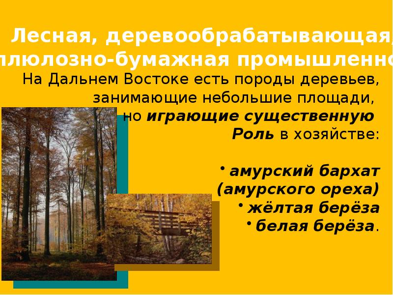 Дальний восток население природные ресурсы и хозяйство презентация