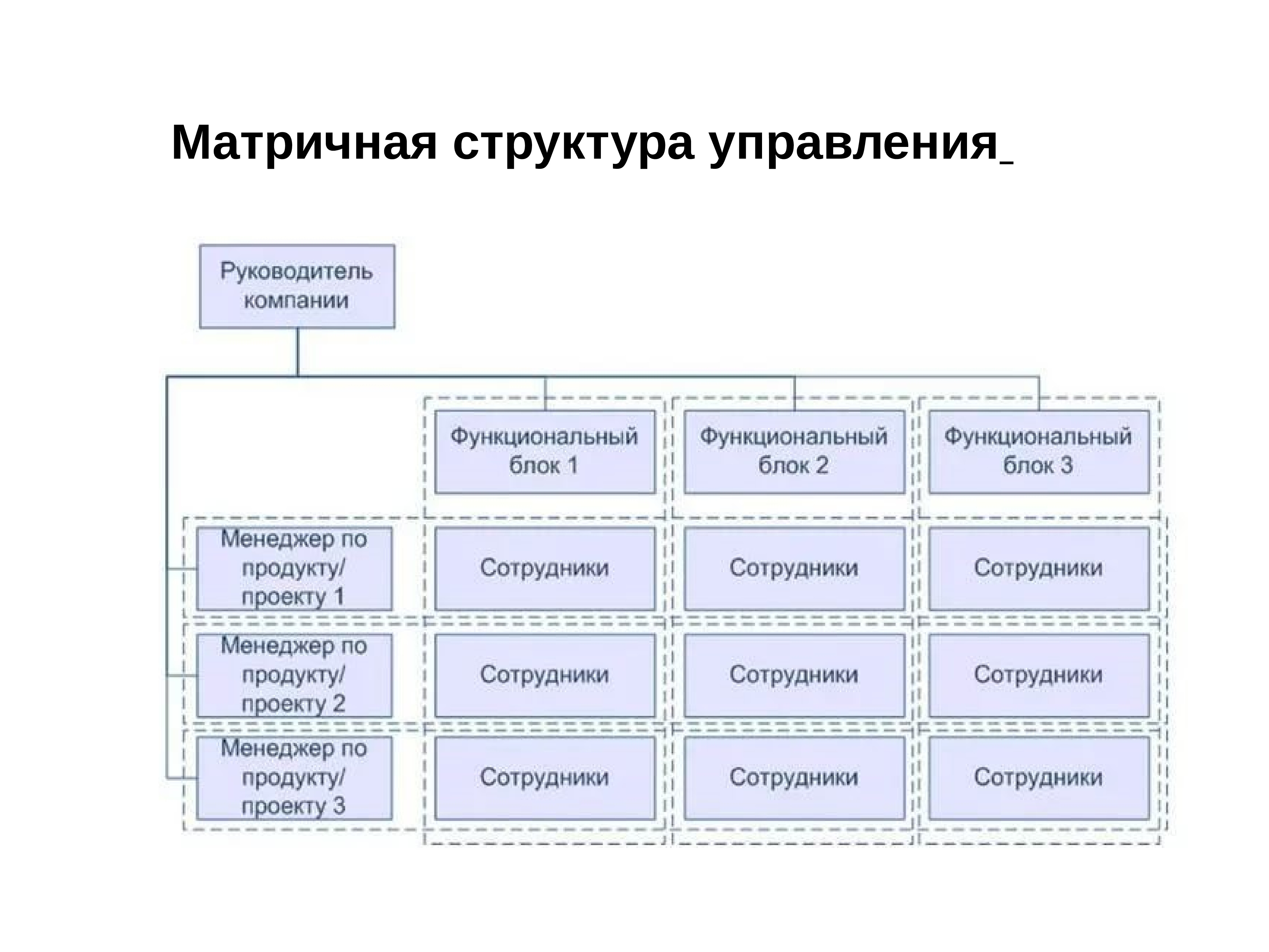 Матричная организационная структура проекта