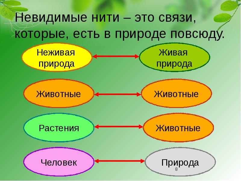 Пример невидимых нитей в весеннем лесу в виде схемы 2 класс окружающий мир