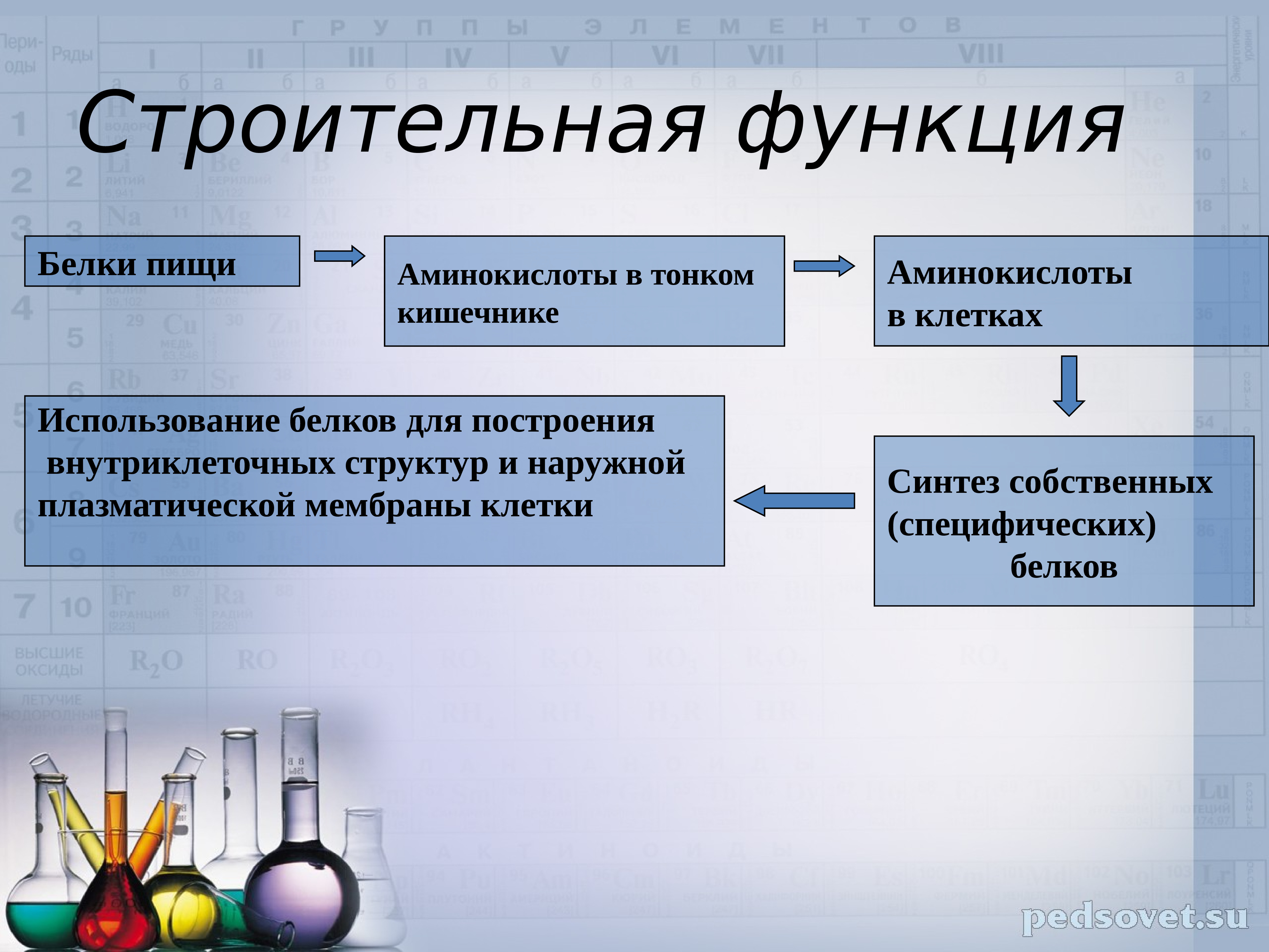 Строительный белок