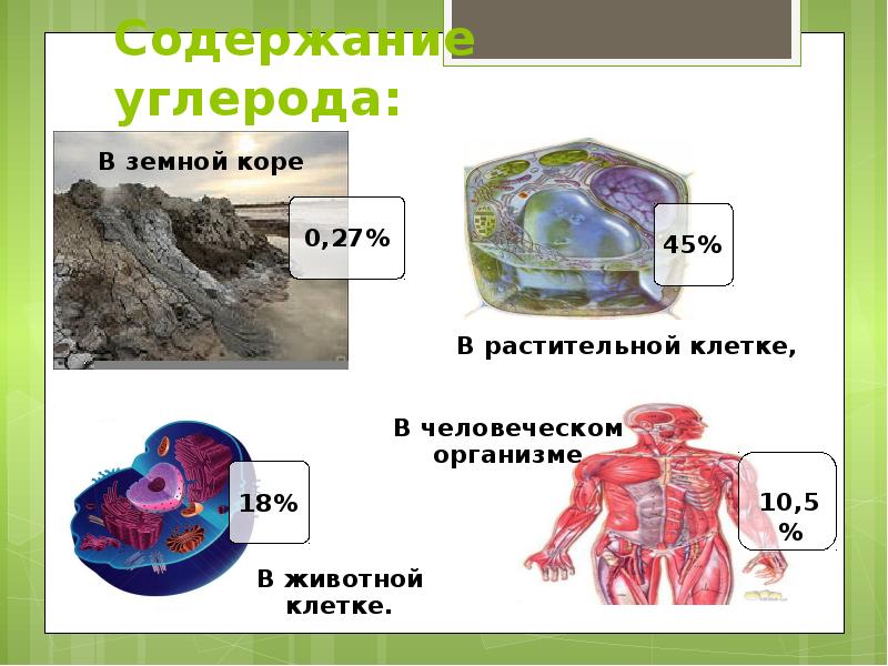 Презентация углерод 8 класс