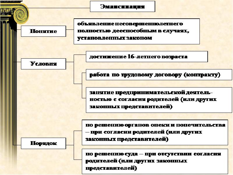 Гражданская правоспособность план егэ