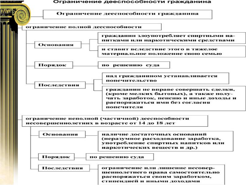 Гражданская правоспособность план егэ