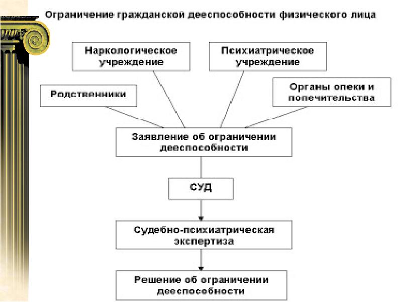 Гражданская правоспособность план егэ