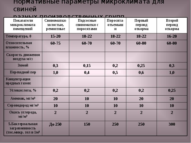 Санитарные нормы содержания свиней