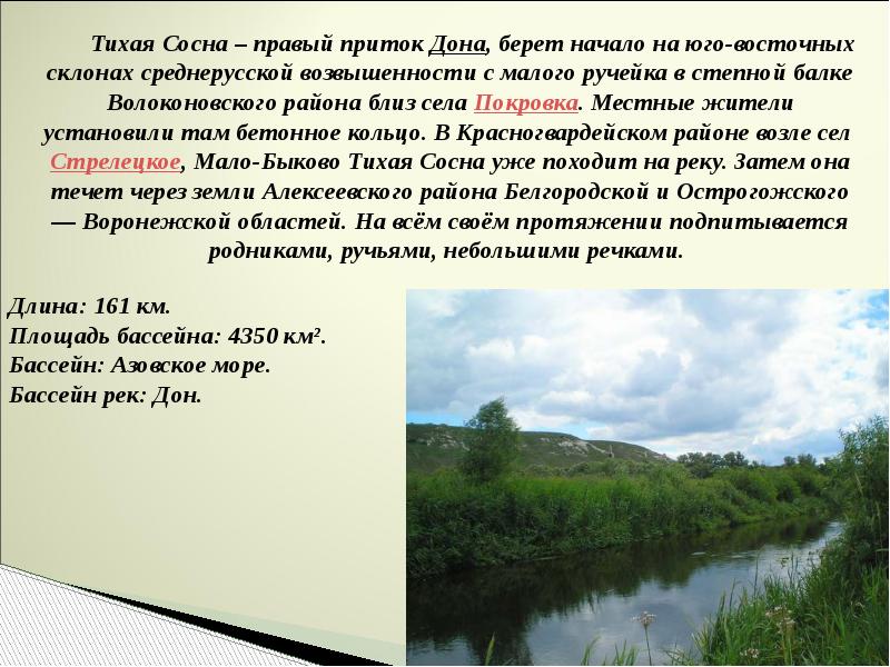 Реки протекающие через. Притоки тихой сосны Белгородской области. Притоки реки Тихая сосна Белгородской области. Река Белгородской области сообщение Тихая сосна. Растения и животные реки Тихая сосна.