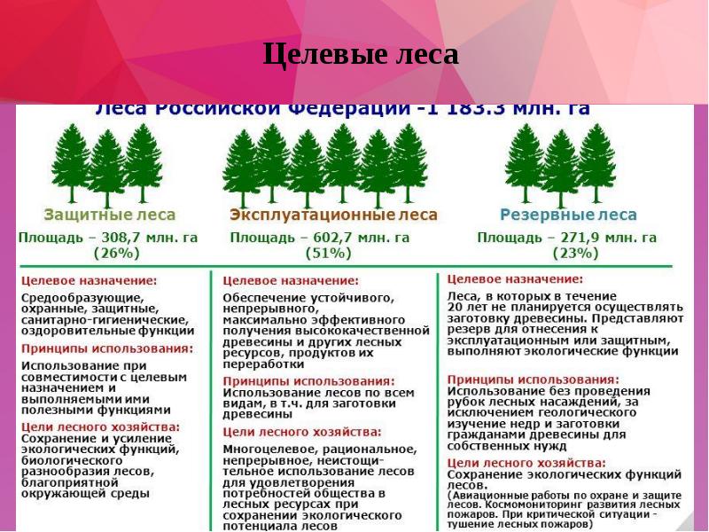 Типы лесов россии схема