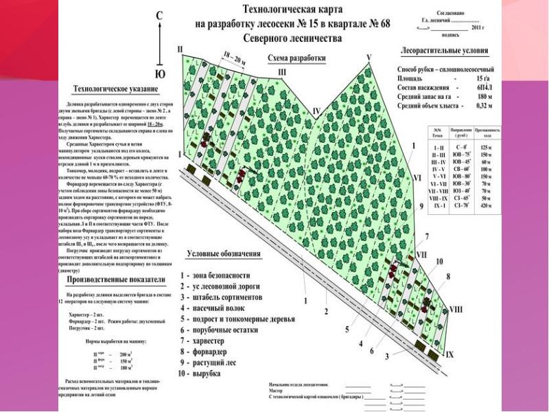 План схема лесного участка