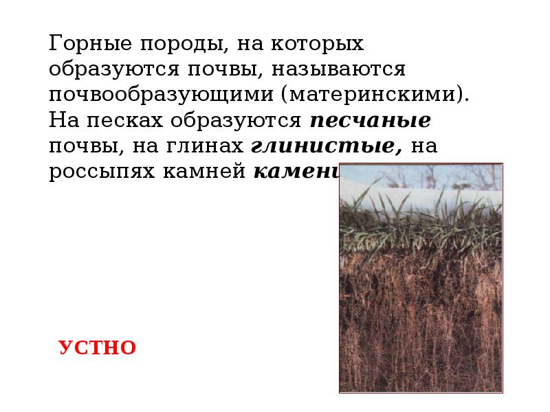 Презентация почва особое природное тело 6 класс география