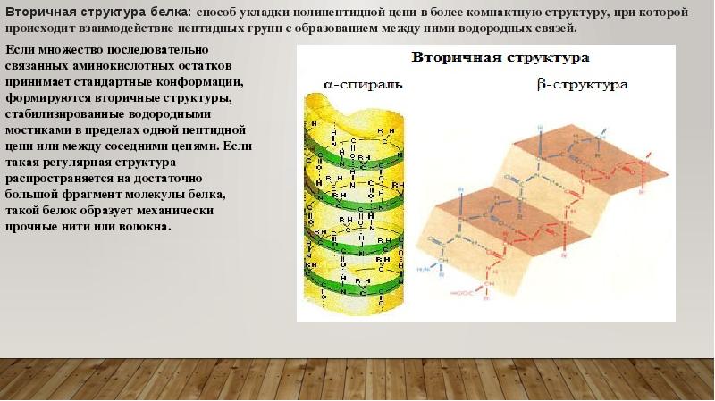 Вторичная структура рнк биохимия. Связи поддерживающие вторичную структуру. Водородные связи во вторичной структуре белка. Связи стабилизирующие вторичную структуру белка. Связи поддерживающие вторичную структуру.