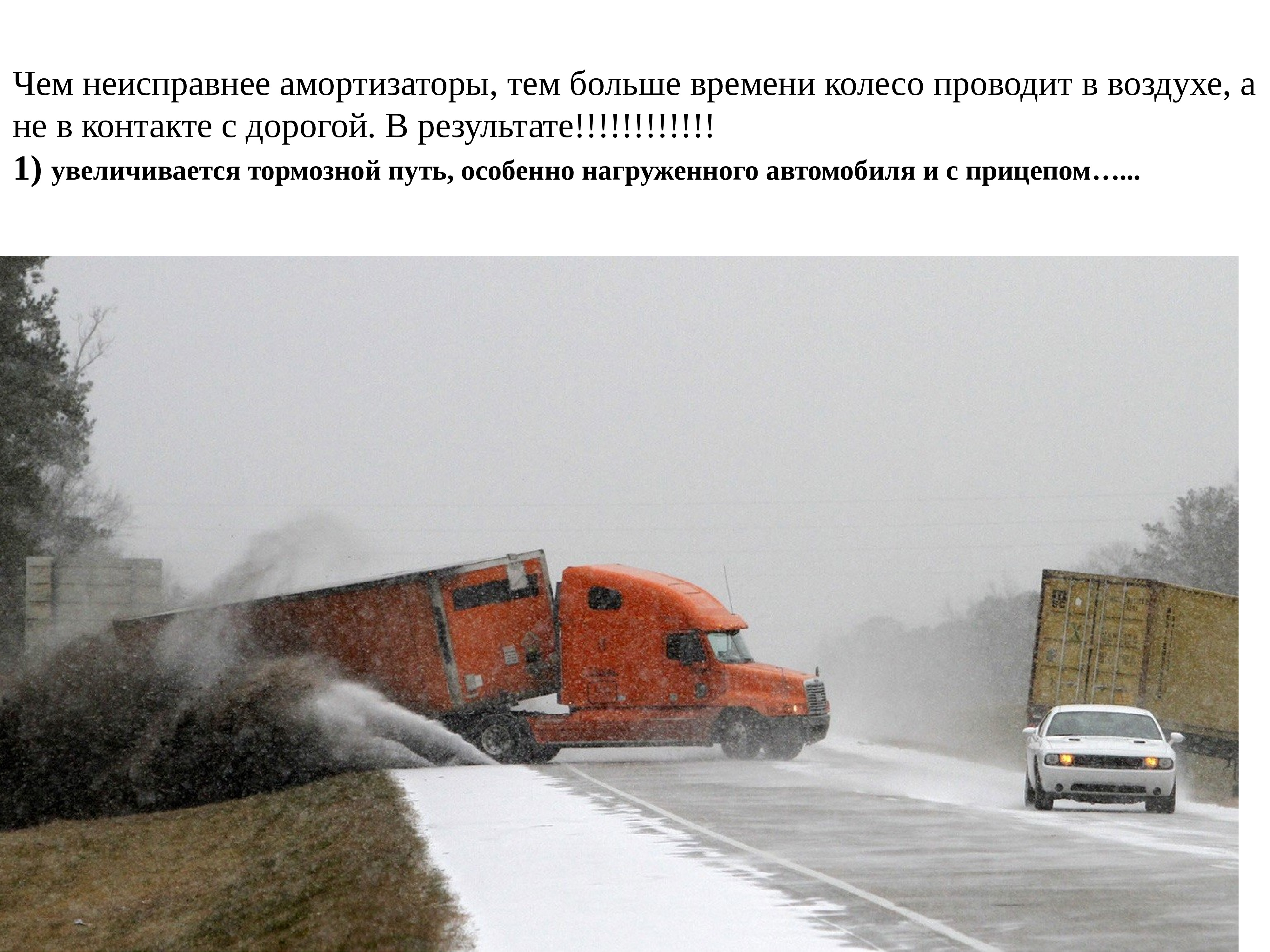 Фото Фур Зимой