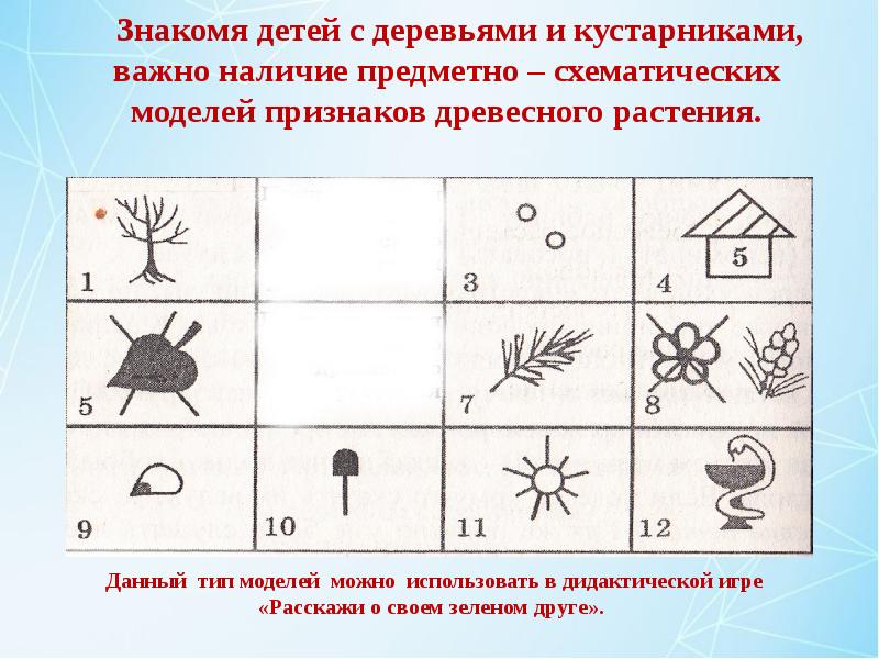 Образец предметной экологической модели