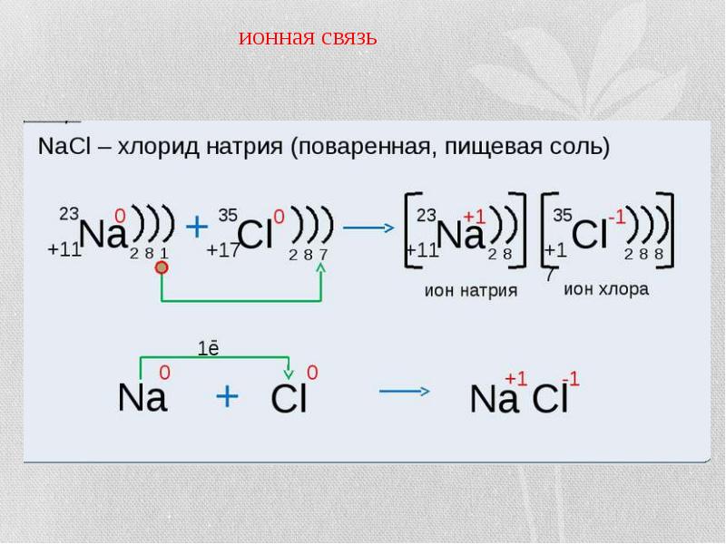 Схема образования hce