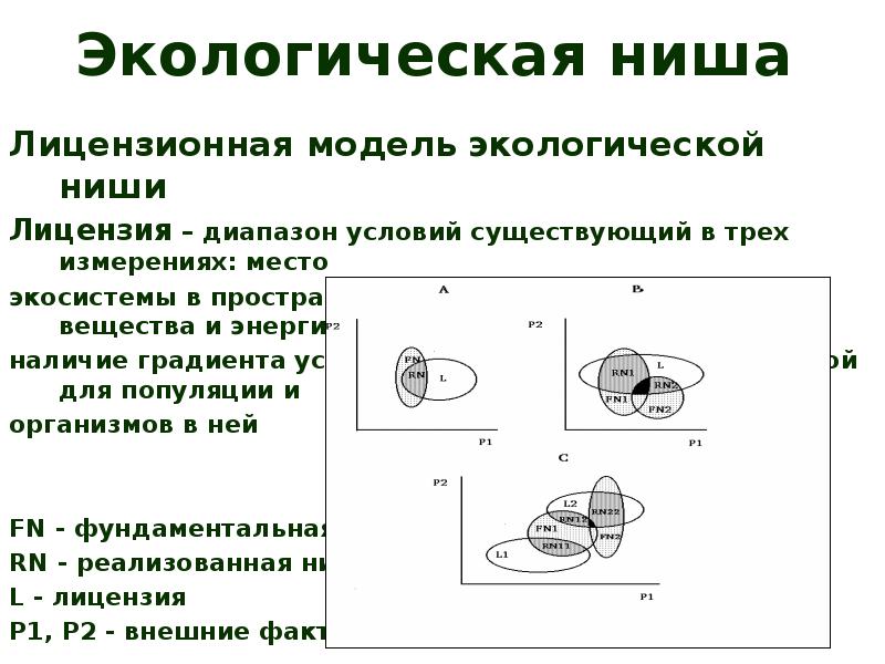 Экологическая ниша. Реализованная экологическая ниша. Фундаментальная экологическая ниша. Экологическая ниша популяции. Схема экологических ниш.