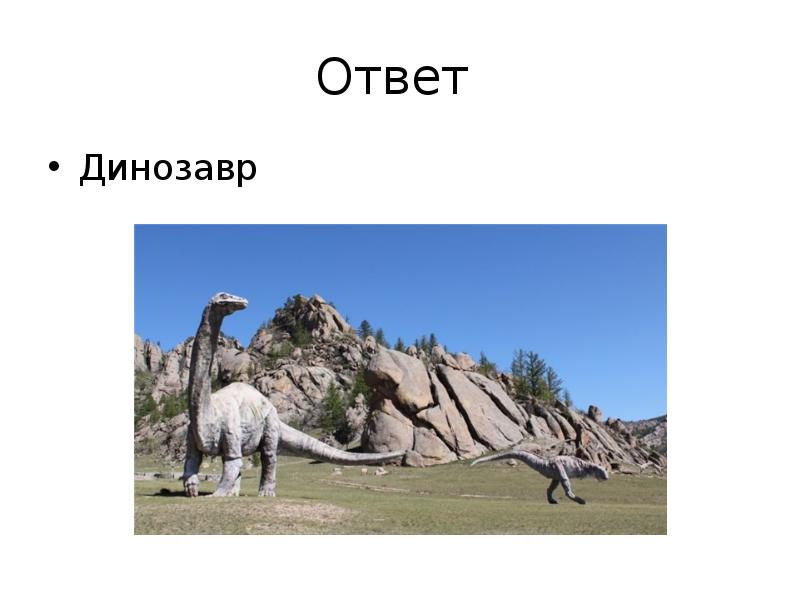 Ответ динозавр. Ответ динозавр