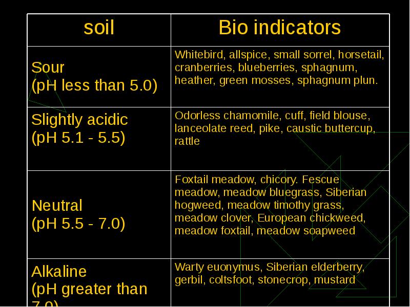 Реферат: How Ph Of Soil Affects A Plant