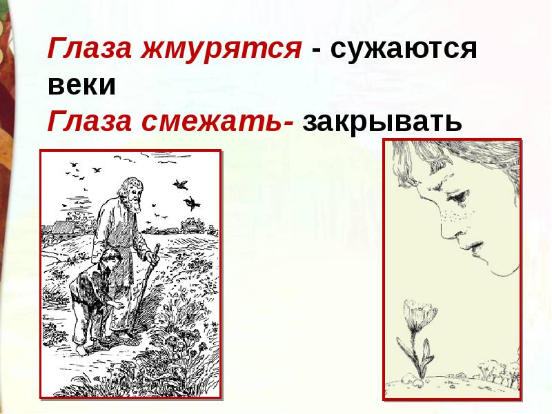 Составить план к рассказу цветок на земле платонова 3 класс литературное чтение