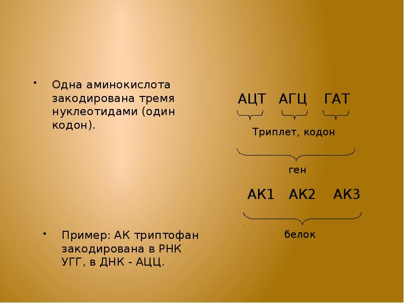 1 аминокислота кодирует 3 нуклеотида. Одна аминокислота кодируется тремя. Одна аминокислота кодируется тремя нуклеотидами. Кодоны аминокислот. Один кодон одна аминокислота это.