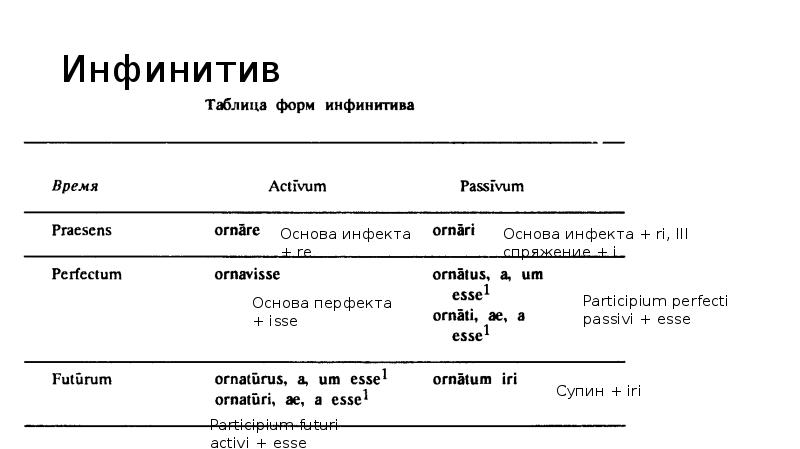 Рабочая тетрадь латинский язык. Формы инфинитива латынь. Форма инфинитива в латинском языке. Infinitivus латынь. Инфинитив в латыни.