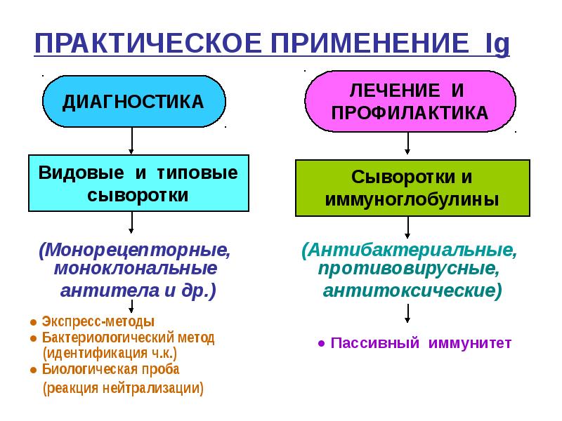 Моноклональные антитела в ревматологии презентация