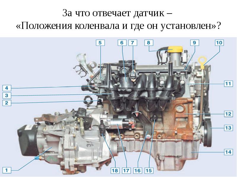 За что отвечает датчик коленвала