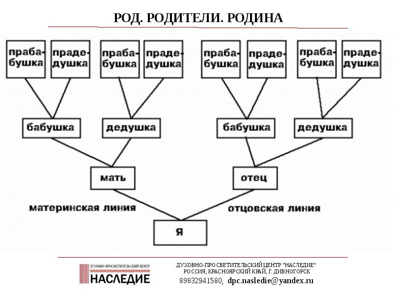 Составление отношений. Как составить родословную схема. Как составить дерево родословной семьи схема. Составьте генеалогическое дерево родословная схема. Восходящая вертикальная родословная схема.