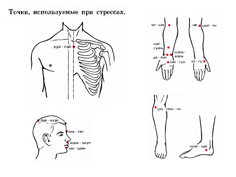 Сегментарно рефлекторный массаж презентация