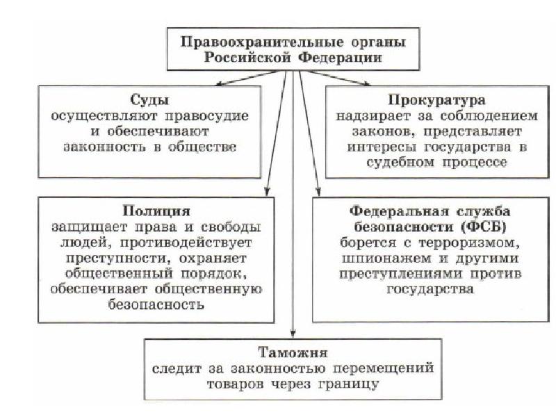 Проект по правоохранительной деятельности