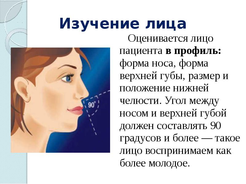 Как называется место между носом и губой. Угол между носом и верхней губой. изучение лица. профиль верхней губы (в баллах 1-3).. изучаем лицо.