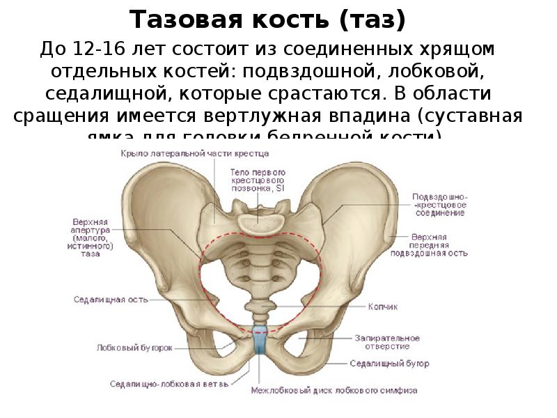  Foto 38