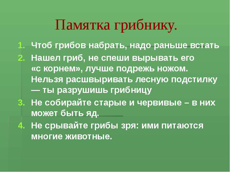 Памятка грибника картинки