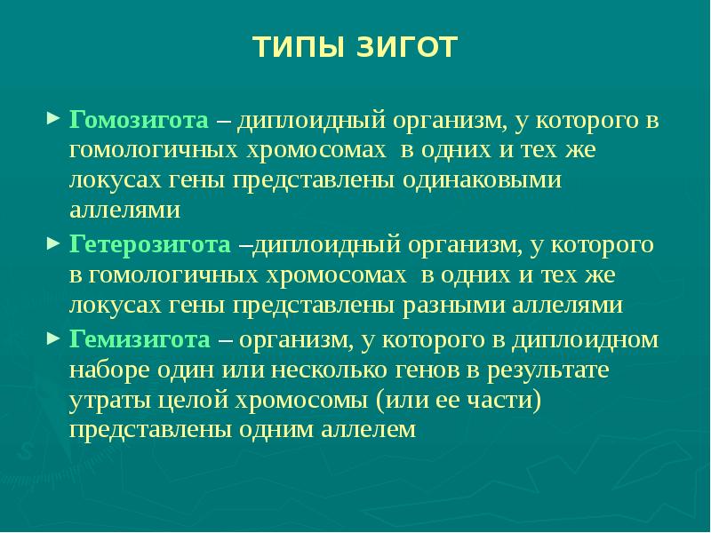 Диплоидный это. Диплоидный организм. Типы зигот. Гомозигота диплоидная. Диплоидный набор хромосом.