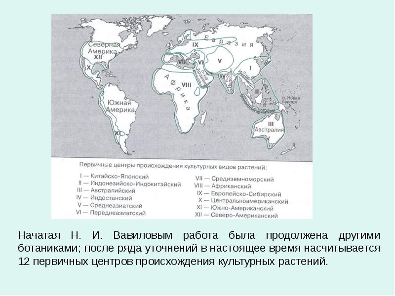 Сравните карту с рисунком 14 с какими областями совпадают центры происхождения культурных растений