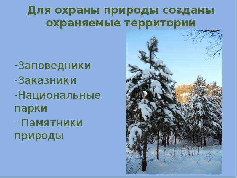 Охрана памятников природы. Заповедник заказник национальный парк памятник природы. Охрана природы зимой.