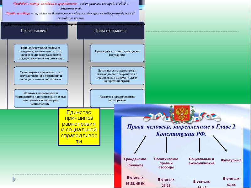 Международная защита прав человека план егэ