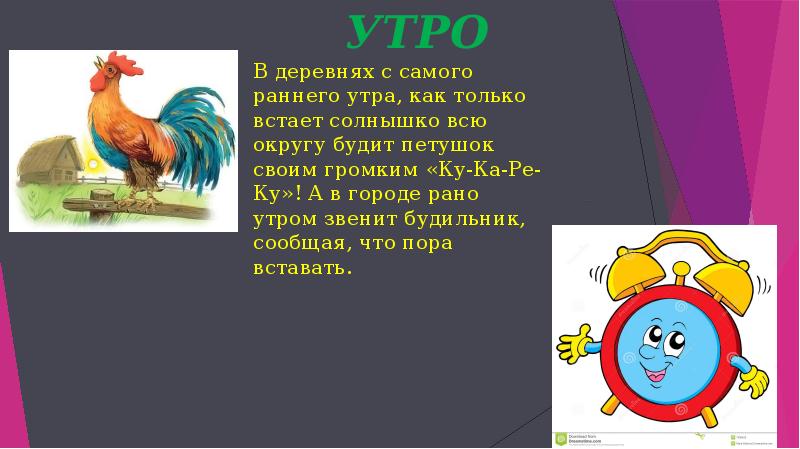 Петушок пропел давно картинки