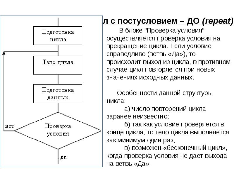 Циклы паскаль презентация