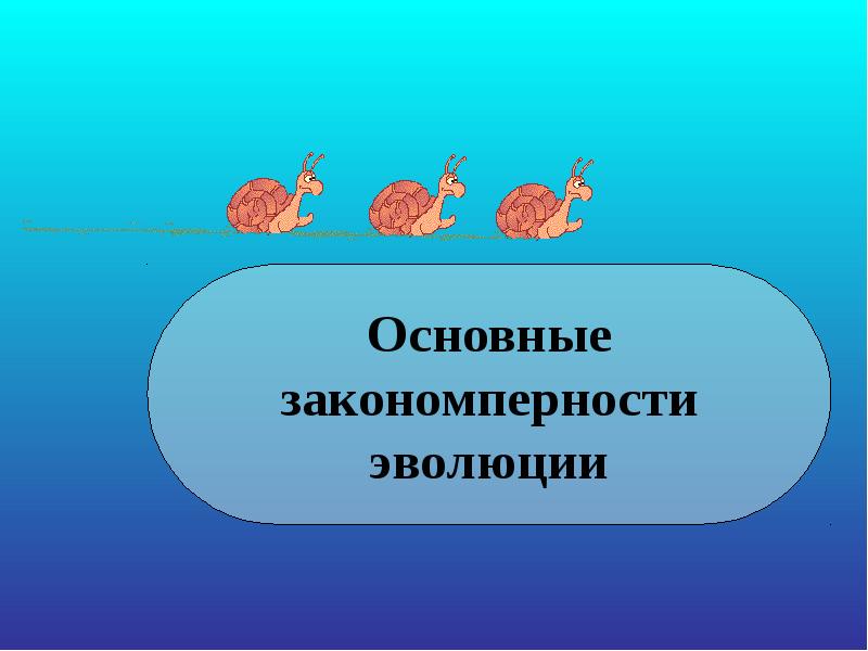 Эволюция презентация. Основные направления эволюции презентация. Главные направления эволюции вывод. Проект главные направления эволюции. Главные направления эволюции тесты по теме.