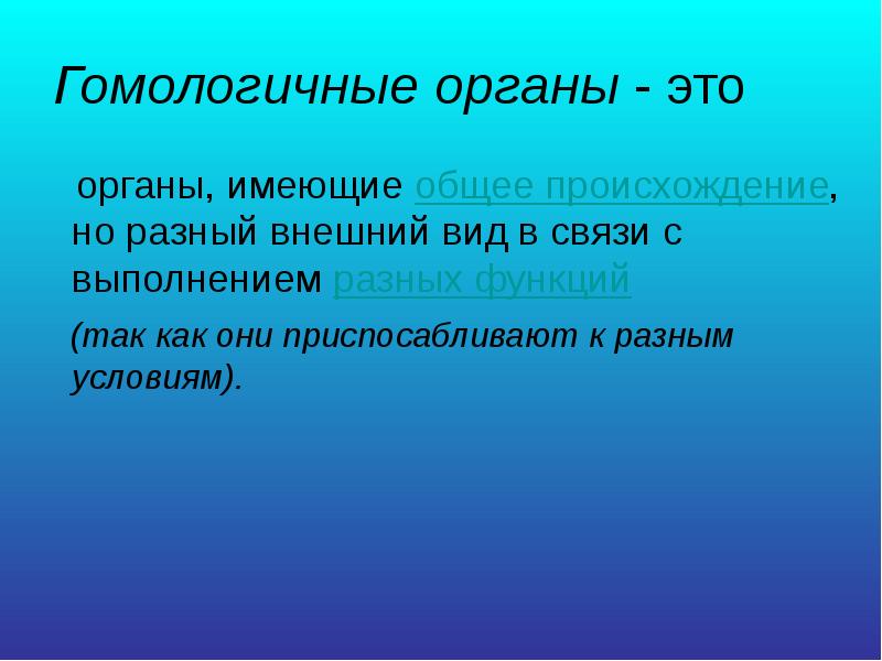 Доклад об основных достоинствах проекта