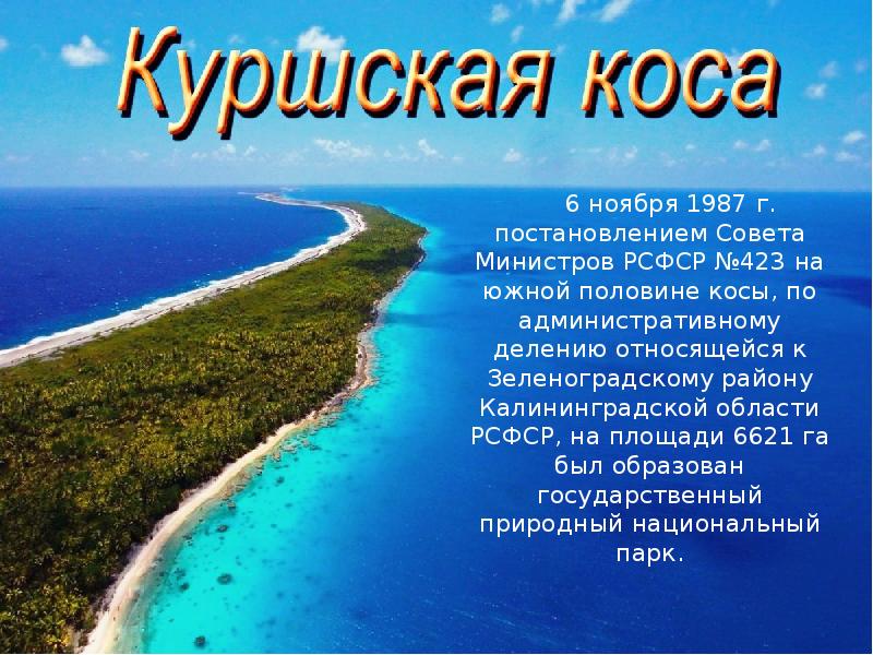 Куршская коса информация для проекта